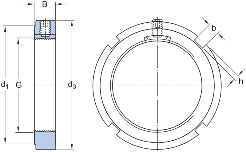 Dimensioni